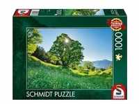 Schmidt 59761 - Berg-Ahorn im Sonnenlicht, St. Gallen/Schweiz, Puzzle, 1000...