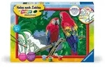 CreArt, Malen nach Zahlen Kinder - Bunte Papageien