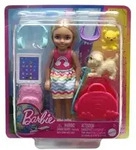 Mattel HJY17 Refreshed Travel Chelsea