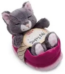 NICI - Sleeping Pets - Green - Kuscheltier Katze grau 12cm schlafend im K&ouml;rbchen