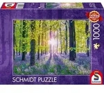 Zarte Glockenblumen im Wald - NEU