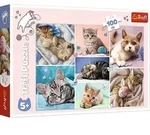 Katzenwelt (Kinderpuzzle)