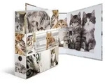 Herma Motiv-Ordner A4 Animals Katzen