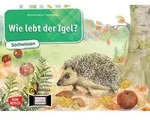 Wie lebt der Igel? Kamishibai Bildkartenset.