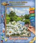MNZ - Margeritenwiese