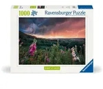 Erwachsenenpuzzle 1000 Teile - Ein Sturm zieht auf
