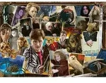 Erwachsenenpuzzle 1000 Teile - Harry Potter gegen Voldemort