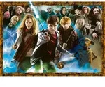Erwachsenenpuzzle 1000 Teile - Der Zaubersch&uuml;ler Harry Potter