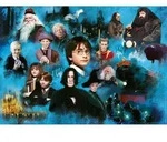 Erwachsenenpuzzle 1000 Teile - Harry Potters magische Welt