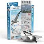 EUGY 3D Bastelset Royal Albatross