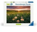Erwachsenenpuzzle 500 Teile - Pusteblumen im Sonnenuntergang