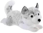 Winter Husky