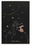 Moleskine der kleine Prinz Notizbuch in limitierter Auflage,