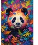 Pandab&auml;r im Regenbogenwald