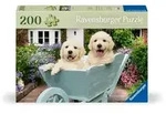 Feel Well & Puzzle - Golden Retriever - Erwachsenenpuzzle mit 200 XL-Teilen und...
