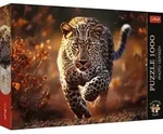 Photo Odyssey: Wild Leopard