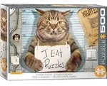 Feline Felon