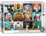 Puzzle 1000 Teile - Lucia Heffernan: Funny Animals by Lucia Heffernan
