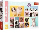 Puzzle 160 - Hunde Collage