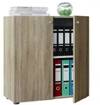 B&uuml;roschrank B&uuml;cher Ordner Aktenschrank Lona 2fach