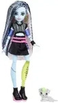 Monster High Frankie Puppe