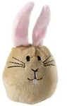 Hase