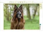 CALVENDO Puzzle 10 j&auml;hriger Langstockhaar Sch&auml;ferhund 1000 Teile Lege-Gr&ouml;&szlig;e