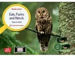 Eule, Fuchs und Hirsch. Tiere im Wald