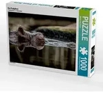 CALVENDO Puzzle Ein Flu&szlig;pferd 1000 Teile Lege-Gr&ouml;&szlig;e 64x48cm Foto-Puzzle f&uuml;r