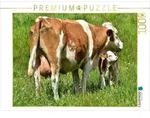 CALVENDO Puzzle Junge K&auml;lber weichen nur sehr selten von der Seite ihrer...