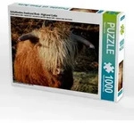 Schottisches Hochland Rind - Highland Cattle (Puzzle)