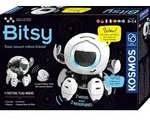 Bitsy INT