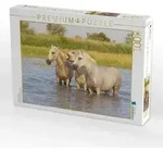 CALVENDO Puzzle Verschnaufpause 1000 Teile Lege-Gr&ouml;&szlig;e 64x48cm Foto-Puzzle f&uuml;r