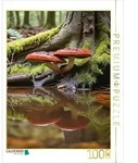 CALVENDO Puzzle Gl&auml;nzender Lackporling im verwunschenen Wald 1000 Teile...