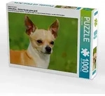 CALVENDO Puzzle Ein Motiv aus dem Kalender Chihuahua - Kleine Hunde ganz gro&szlig;...