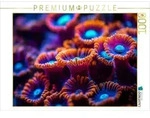 CALVENDO Puzzle Ozeanische Juwelen 1000 Teile Lege-Gr&ouml;&szlig;e 64x48cm Foto-Puzzle...