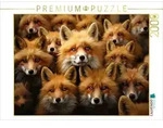 CALVENDO Puzzle Viele F&uuml;chse auf einem Bild 2000 Teile Lege-Gr&ouml;&szlig;e 90x67cm