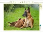 CALVENDO Puzzle Ein Motiv aus dem Kalender Traumhund Malinois 1000 Teile...
