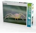 CALVENDO Puzzle Krabbenspinne 1000 Teile Lege-Gr&ouml;&szlig;e 64x48cm Foto-Puzzle f&uuml;r