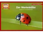 Der Marienk&auml;fer / Kamishibai Bildkarten