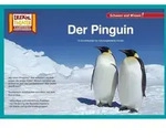 Der Pinguin / Kamishibai Bildkarten