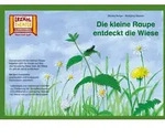 Die kleine Raupe entdeckt die Wiese / Kamishibai Bildkarten