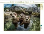 CALVENDO Puzzle Bitte l&auml;cheln 1000 Teile Lege-Gr&ouml;&szlig;e 64x48cm Foto-Puzzle f&uuml;r