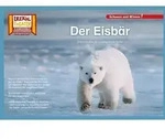 Der Eisb&auml;r / Kamishibai Bildkarten