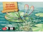 Von Larven und Libellen. Mit Kindern &uuml;ber den Tod und das Danach...