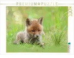 CALVENDO Puzzle Ein Motiv aus dem Kalender F&uuml;chse - zauberhafte Seelen 1000 Teile