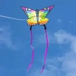 Ecoline: Butterfly Kite Rainbow 120 cm