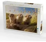 CALVENDO Puzzle Ein Motiv aus dem Kalender "Nach Art der Lemminge" 1000 Teile
