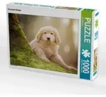 CALVENDO Puzzle Hovawart Welpe 1000 Teile Lege-Gr&ouml;&szlig;e 64x48cm Foto-Puzzle f&uuml;r