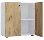 B&uuml;roschrank B&uuml;cher Ordner Aktenschrank Lona 2fach